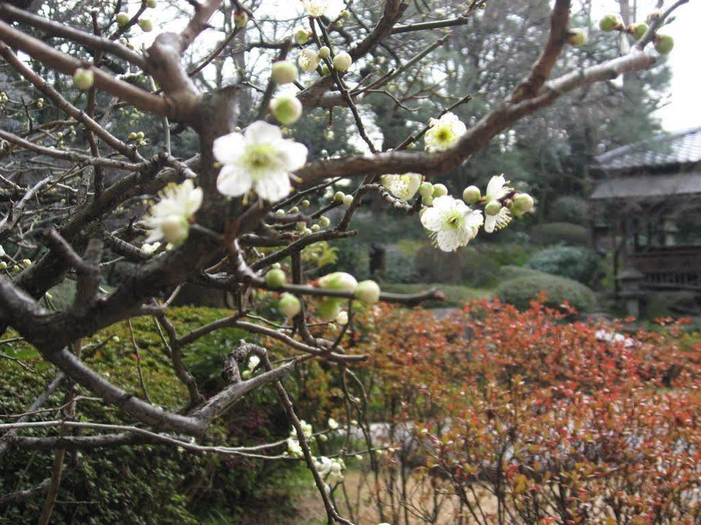 Gosho Nishi Kyoto Heian Hotel Εξωτερικό φωτογραφία